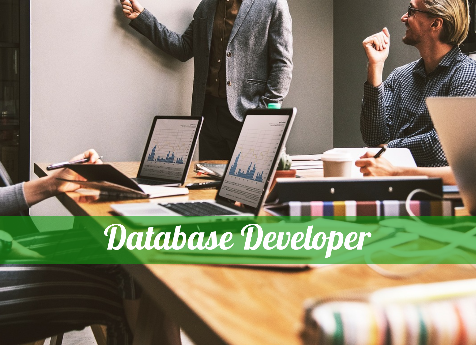 Database Developer – Join Our Team at TLO!